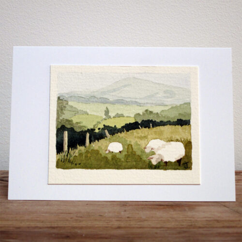 Grazing Sheep - Original Watercolour Painting by Jessica Coote